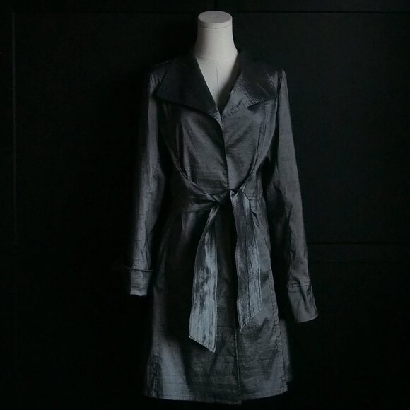 Jerry T | Stunningly Beautiful Silvery-Gray Fall/Spring Coat - Picture 1 of 8